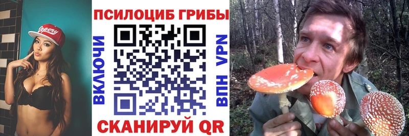 blacksprut вход  где найти   Жуков  Галлюциногенные грибы мицелий 